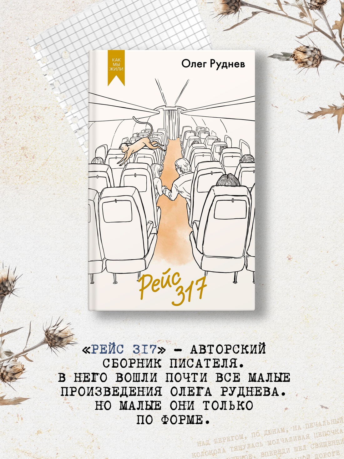 Промо материал к книге "Рейс 317" №2