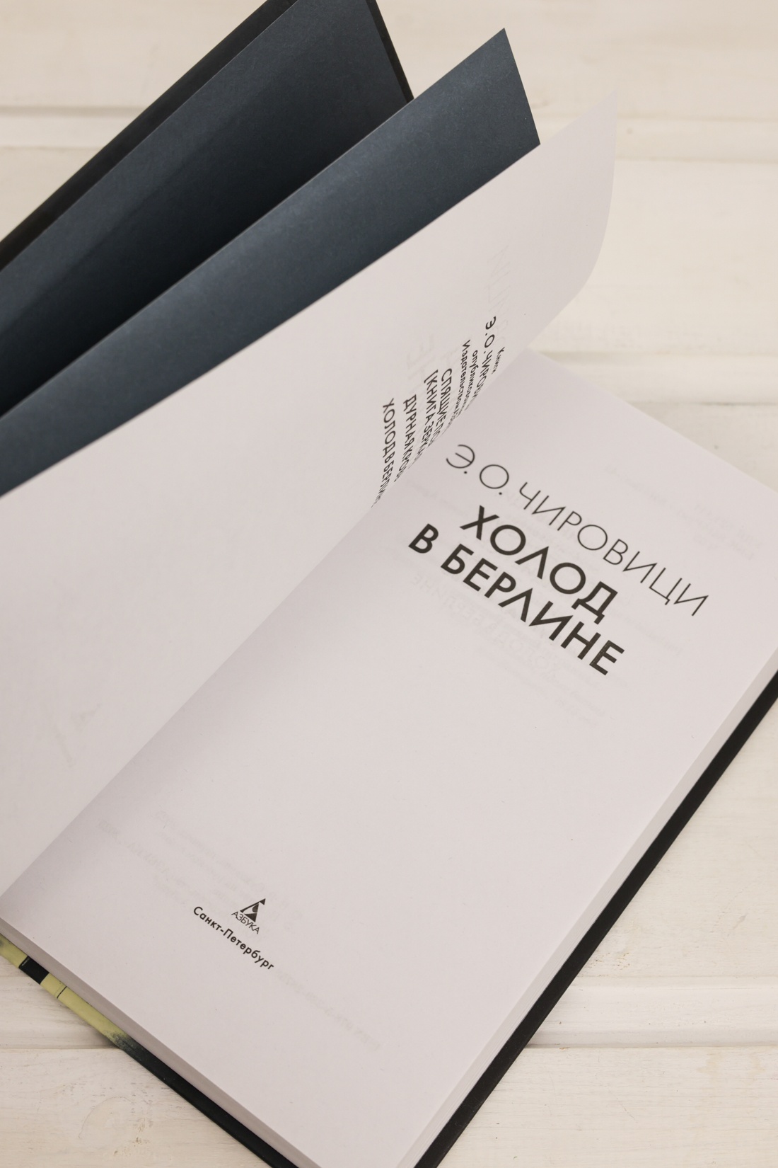 Промо материал к книге "Холод в Берлине" №8