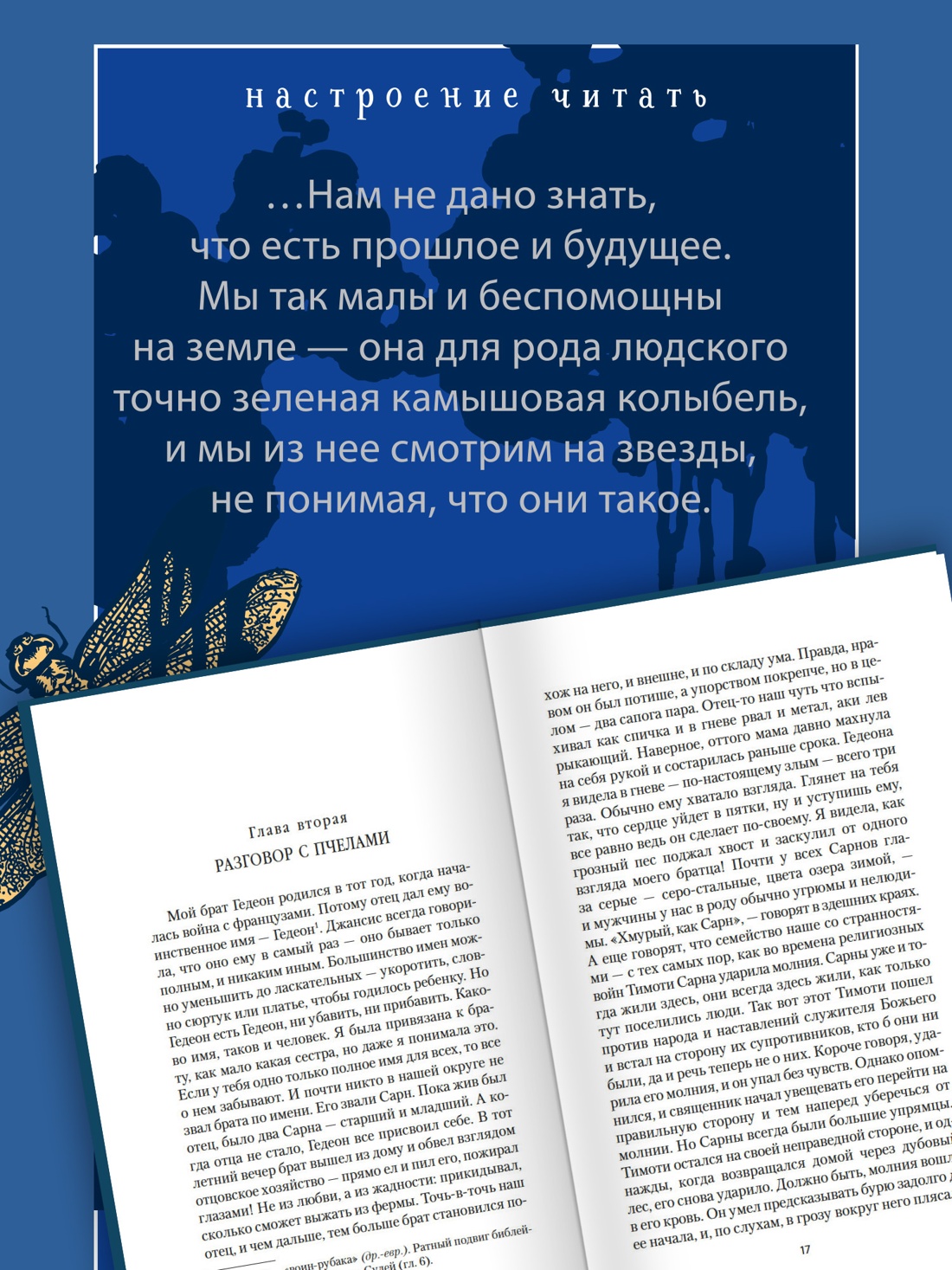 Промо материал к книге "Золотое проклятье" №3