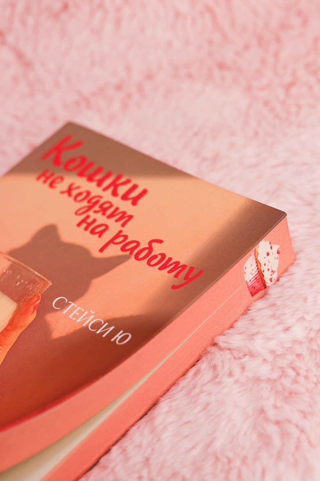 Промо материал к книге "Кошки не ходят на работу" №9