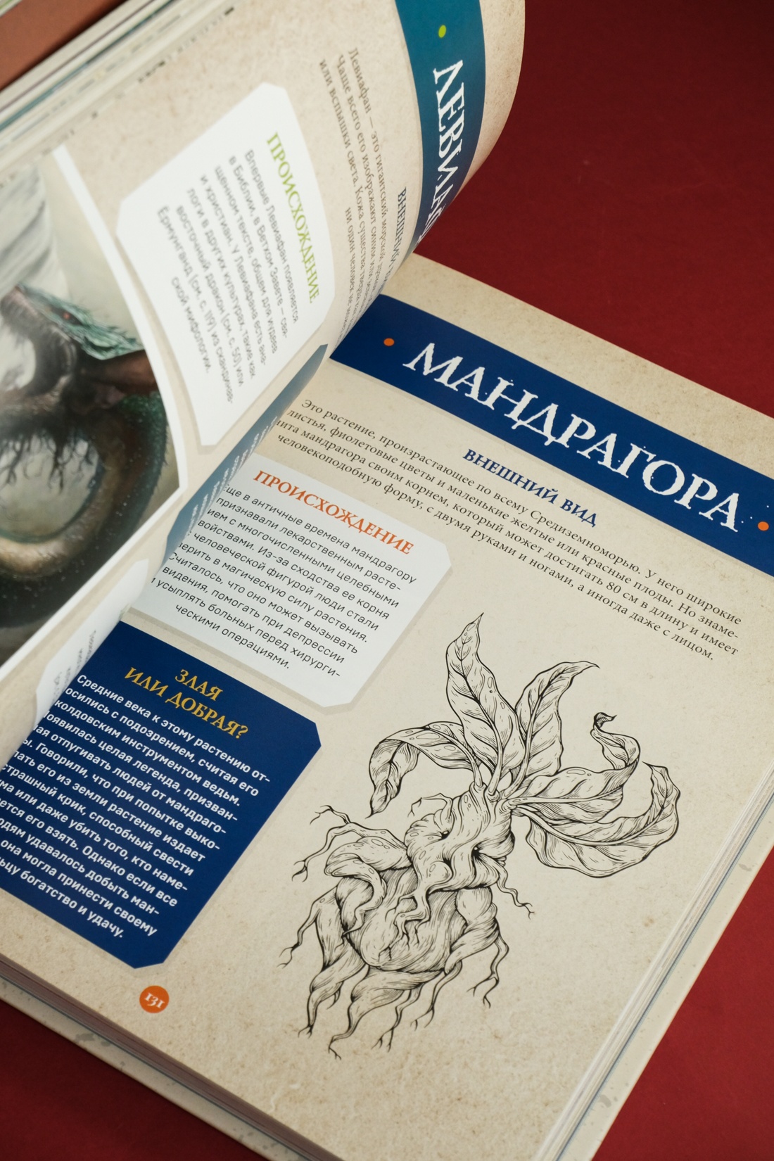 Промо материал к книге "Фантастические существа. Гигантская энциклопедия" №9