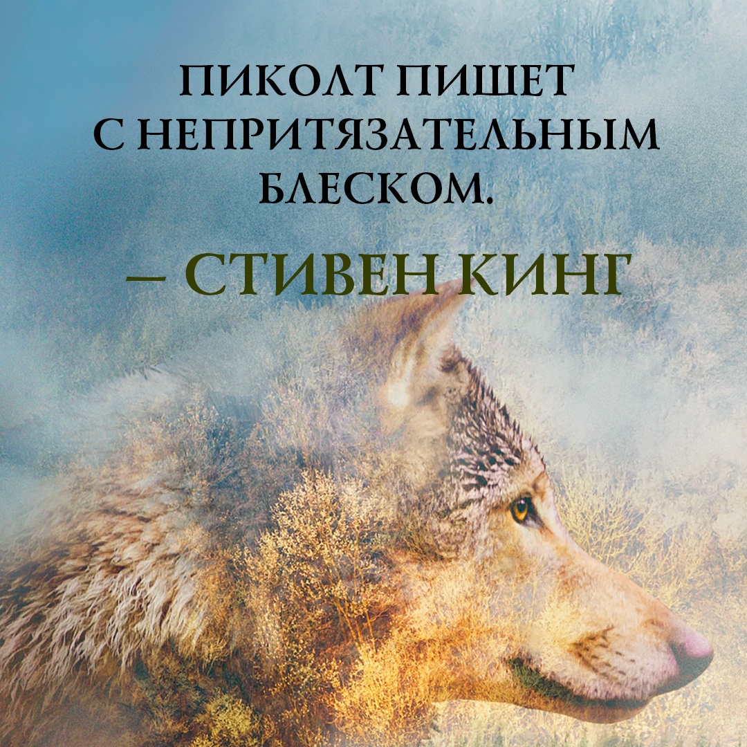 Промо материал к книге "Одинокий волк" №0