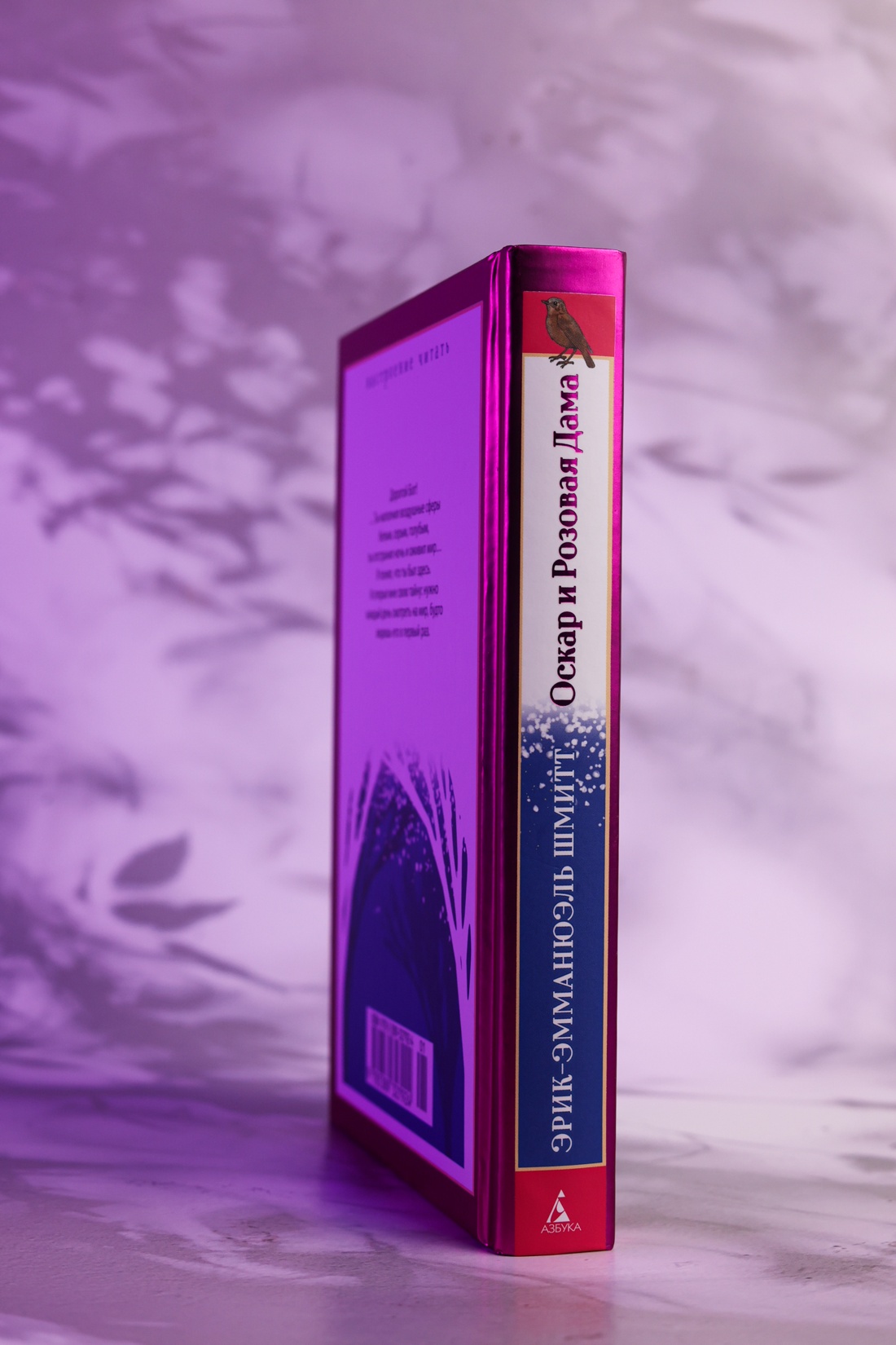 Промо материал к книге "Оскар и Розовая Дама (Настроение читать)" №5