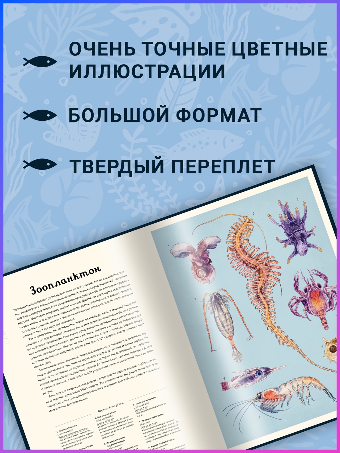 Промо материал к книге "Океанариум" №1