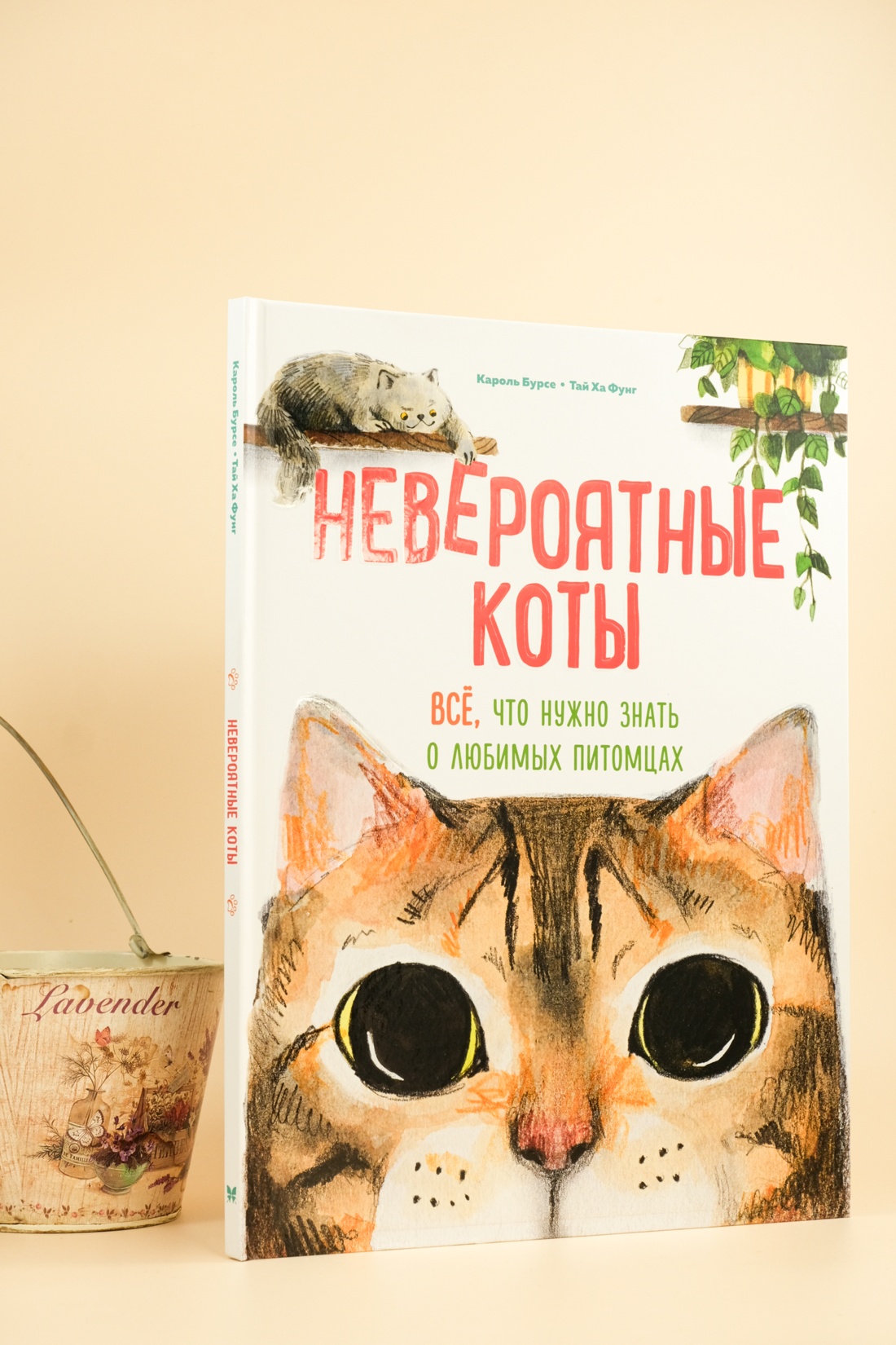 Промо материал к книге "Невероятные коты. Всё, что нужно знать о любимых питомцах" №0