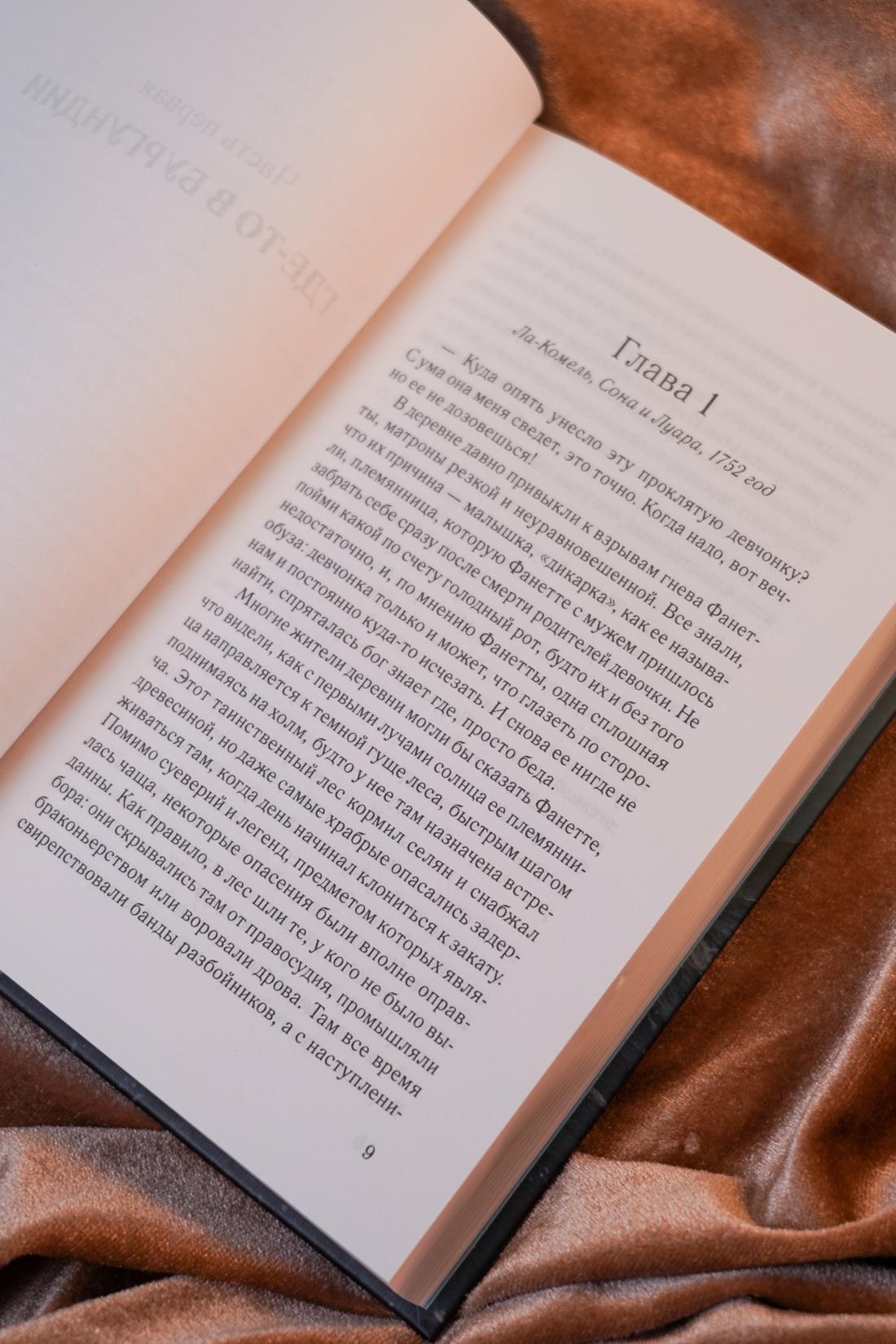 Промо материал к книге "Гербарий Жанны" №9