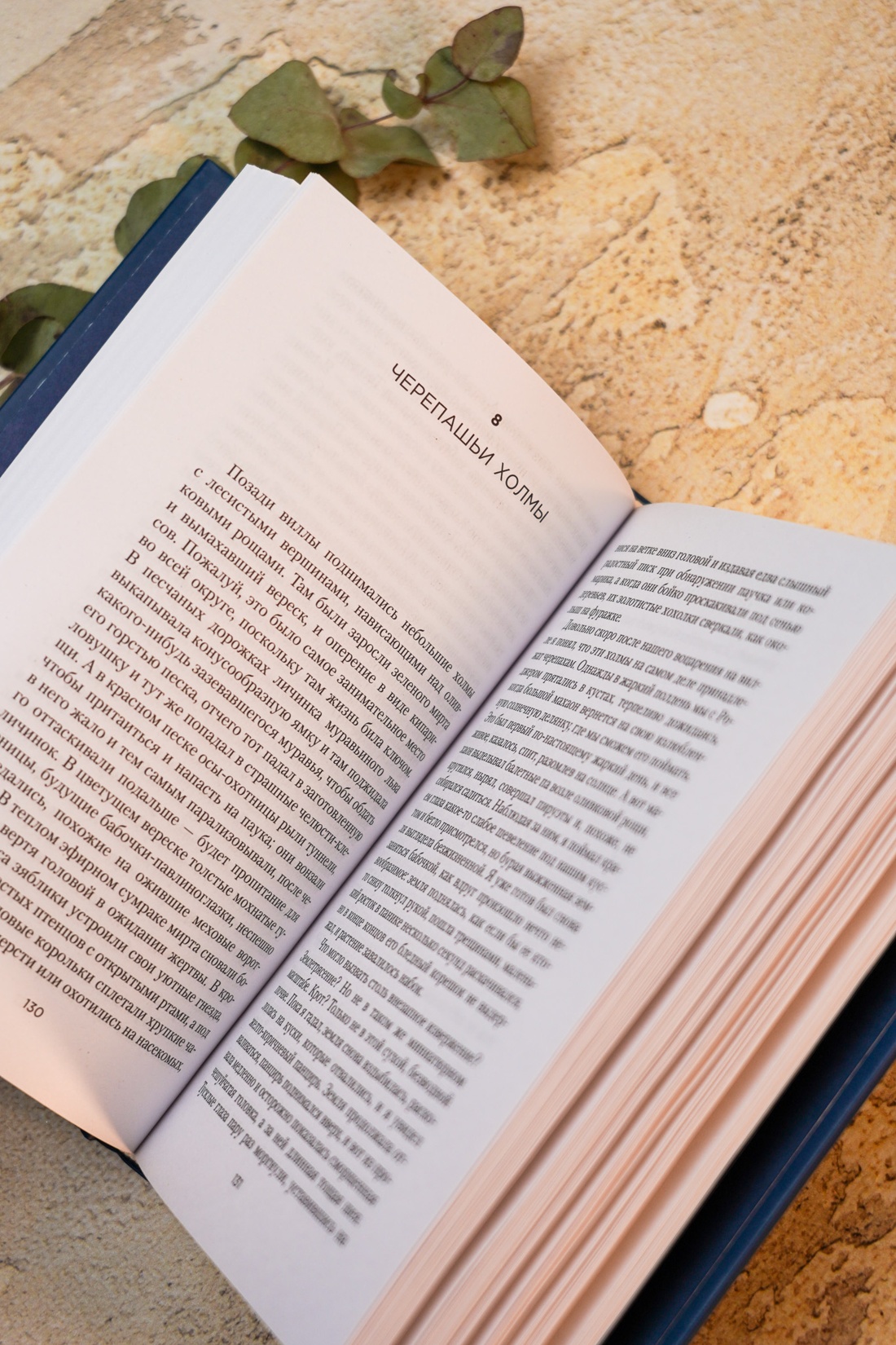 Промо материал к книге "Моя семья и другие звери (Настроение читать)" №10