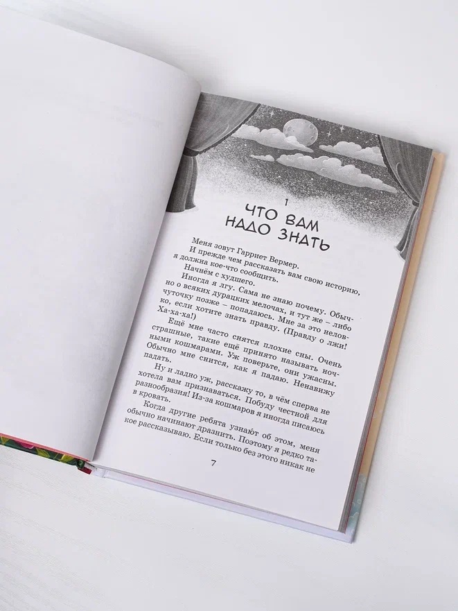 Промо материал к книге "Тайна на каникулах" №7