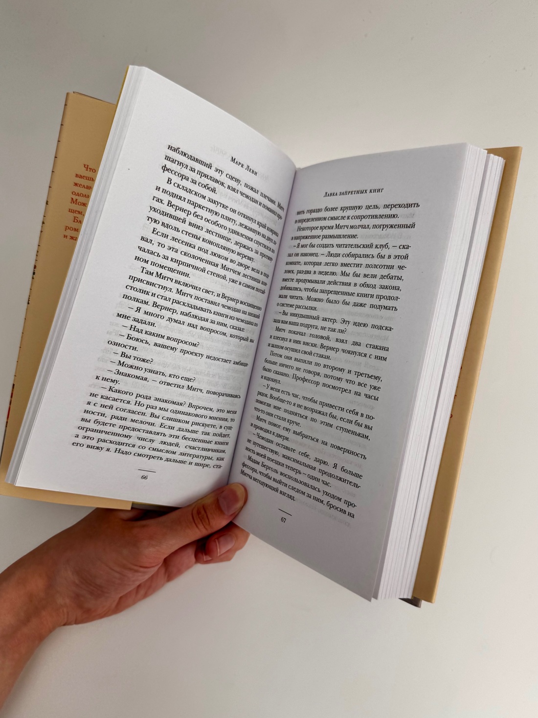 Промо материал к книге "Лавка запретных книг" №10