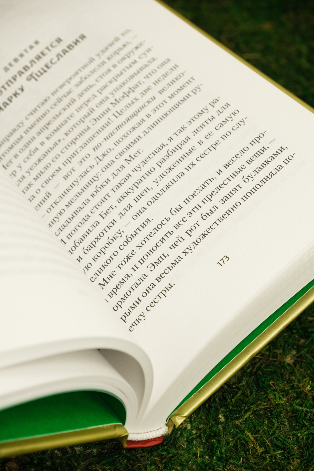 Промо материал к книге "Маленькие женщины" №16