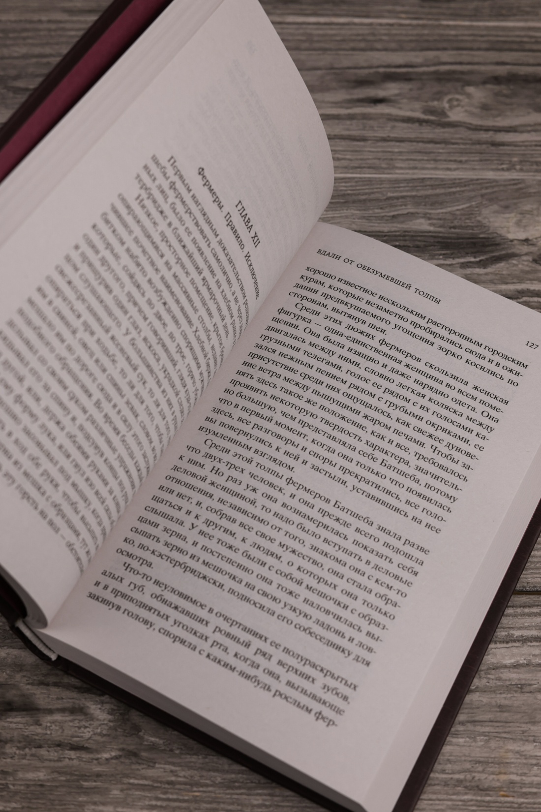 Промо материал к книге "Вдали от обезумевшей толпы (твердый)" №6