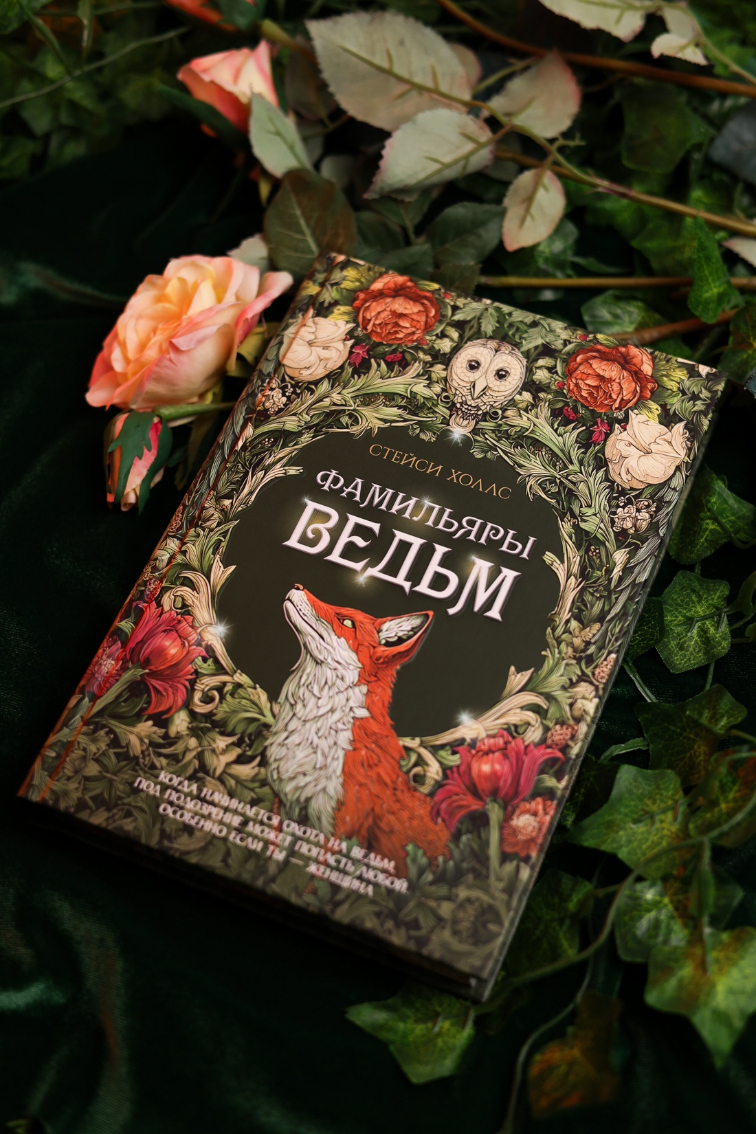 Промо материал к книге "Фамильяры ведьм" №6