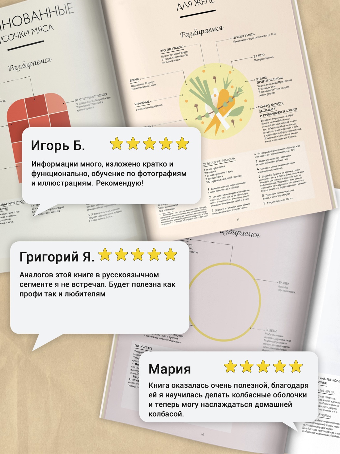 Промо материал к книге "Большая книга мясных деликатесов" №1