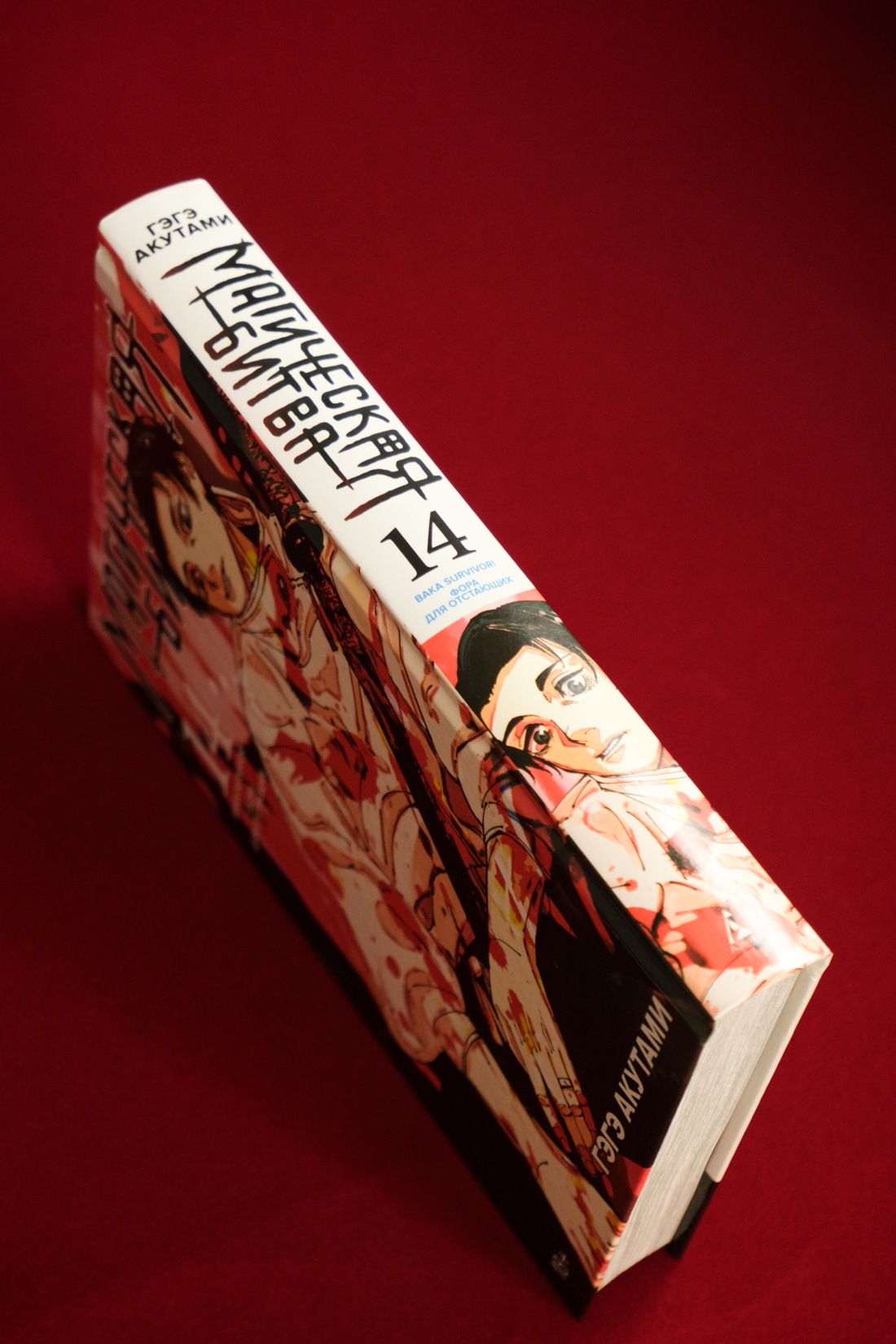Промо материал к книге "Магическая битва. Книга 14. Baka Survivor! Фора для отстающих" №13