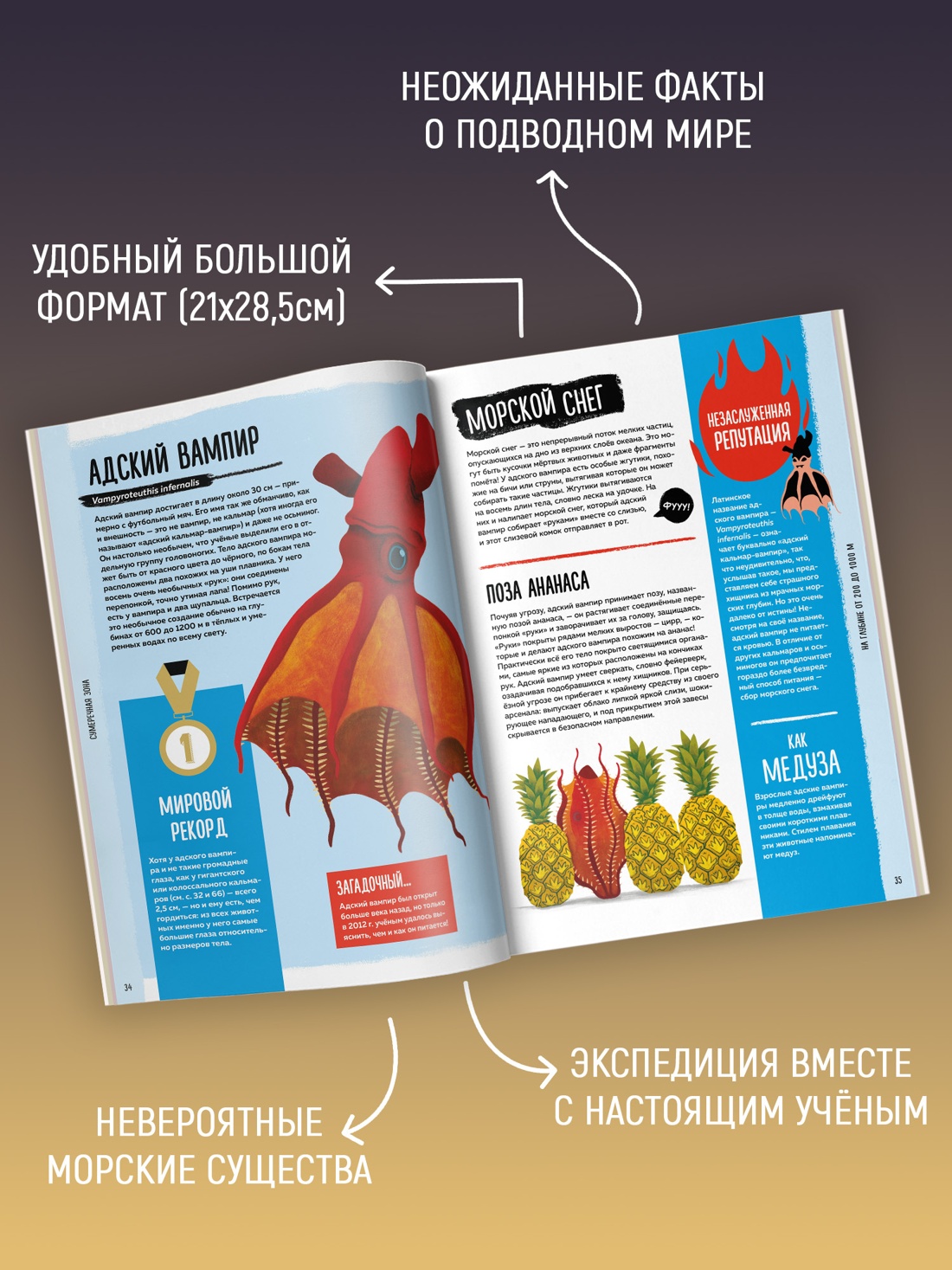 Промо материал к книге "Мир вокруг тебя. Тайны мирового океана" №1