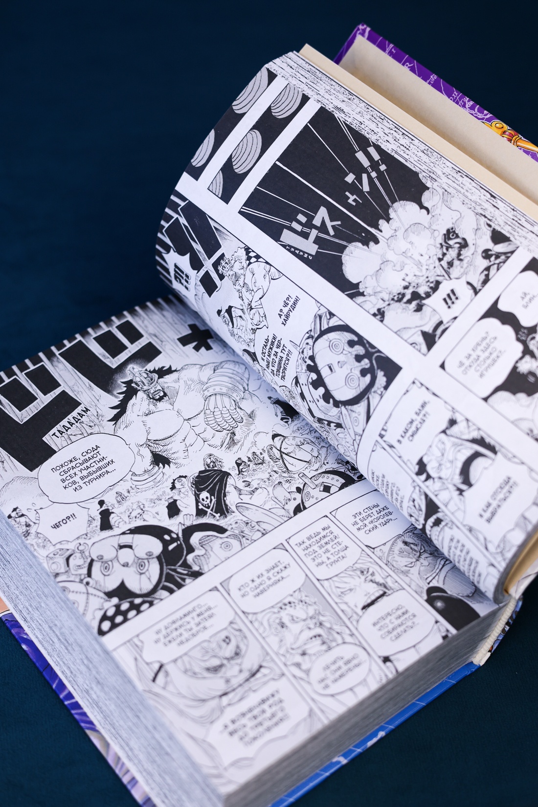 Промо материал к книге "One Piece. Большой куш. Книга 25. Я никогда тебя не брошу" №10