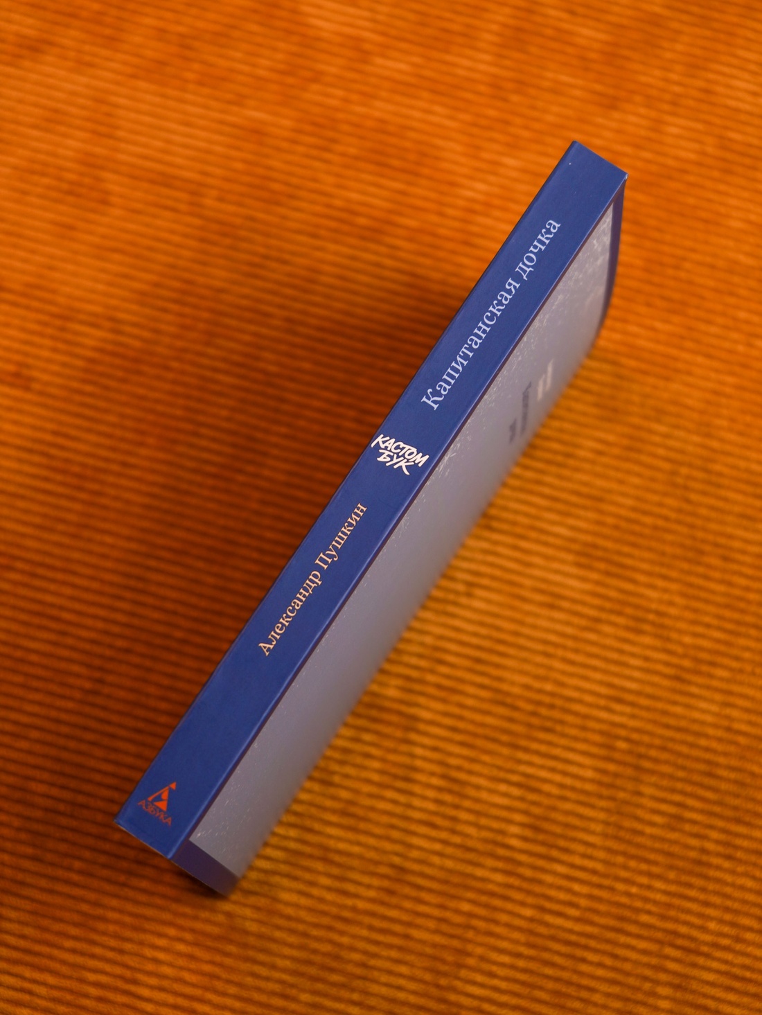 Промо материал к книге "Кастомбук. Капитанская дочка (со стикерами)" №11