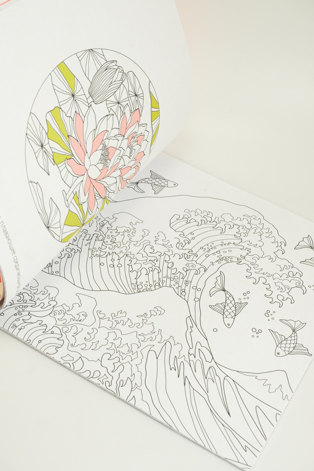 Промо материал к книге "Япония" №8