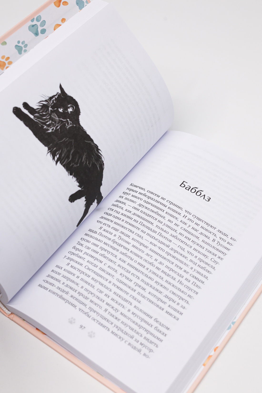 Промо материал к книге "Тридцать кошек и ни одной чужой. Мемуары о жизни, любви и принятии себя" №12