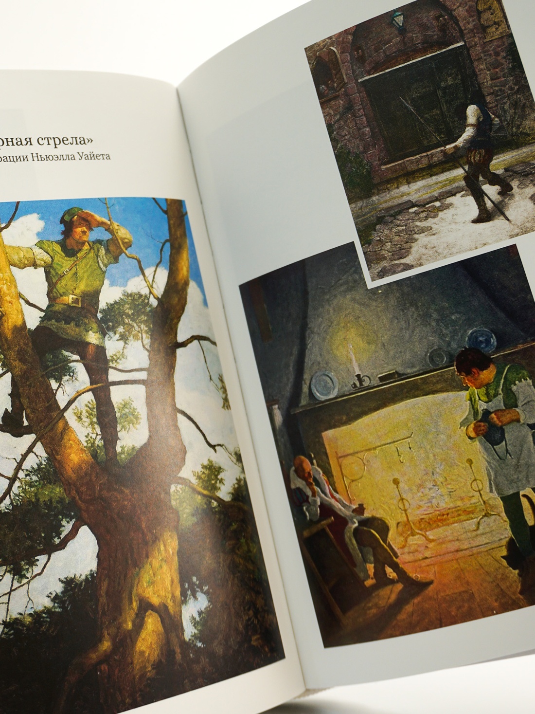 Промо материал к книге "Остров Сокровищ. Черная стрела. Похищенный. Катриона" №13