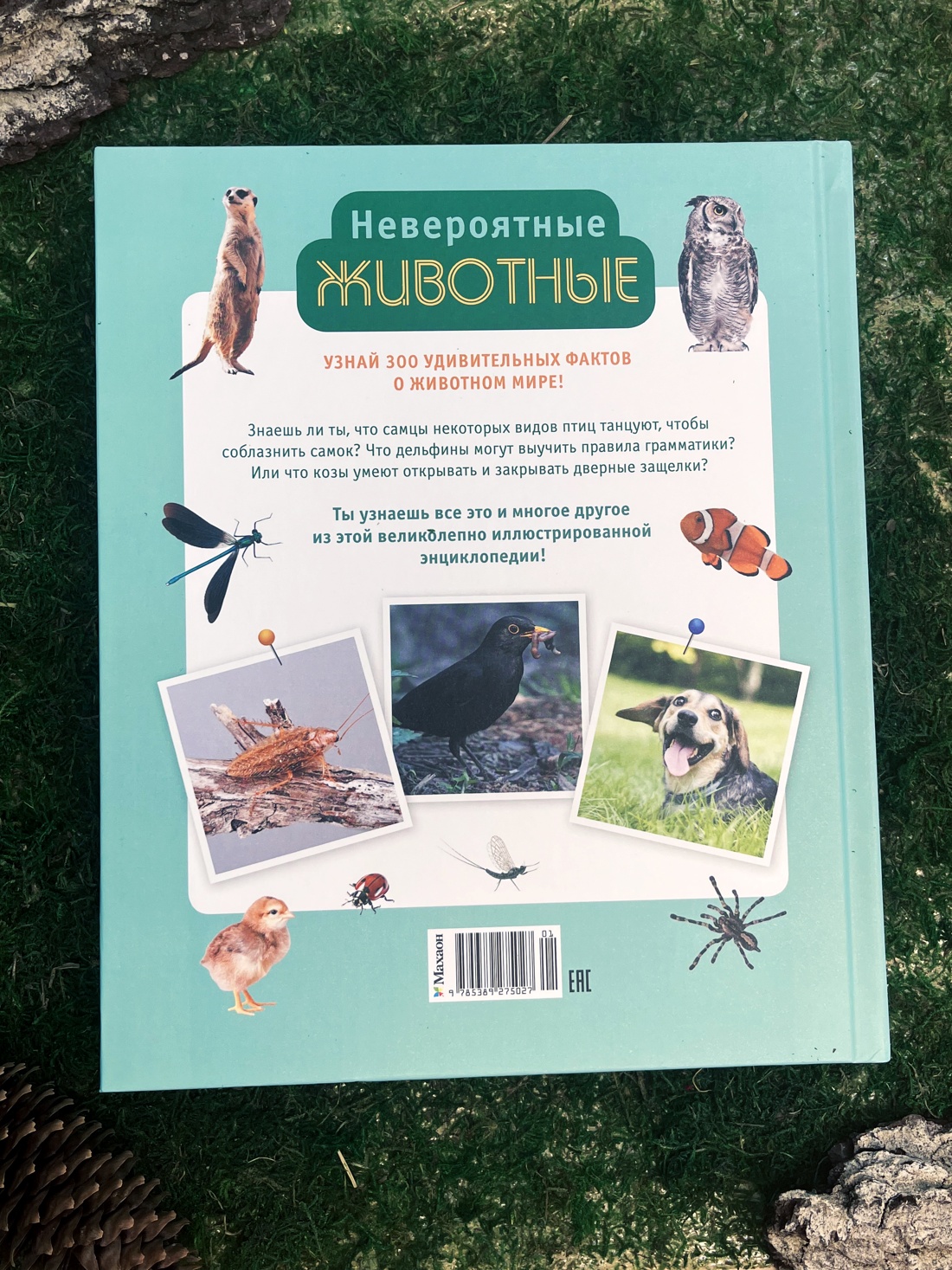 Промо материал к книге "Невероятные животные" №5