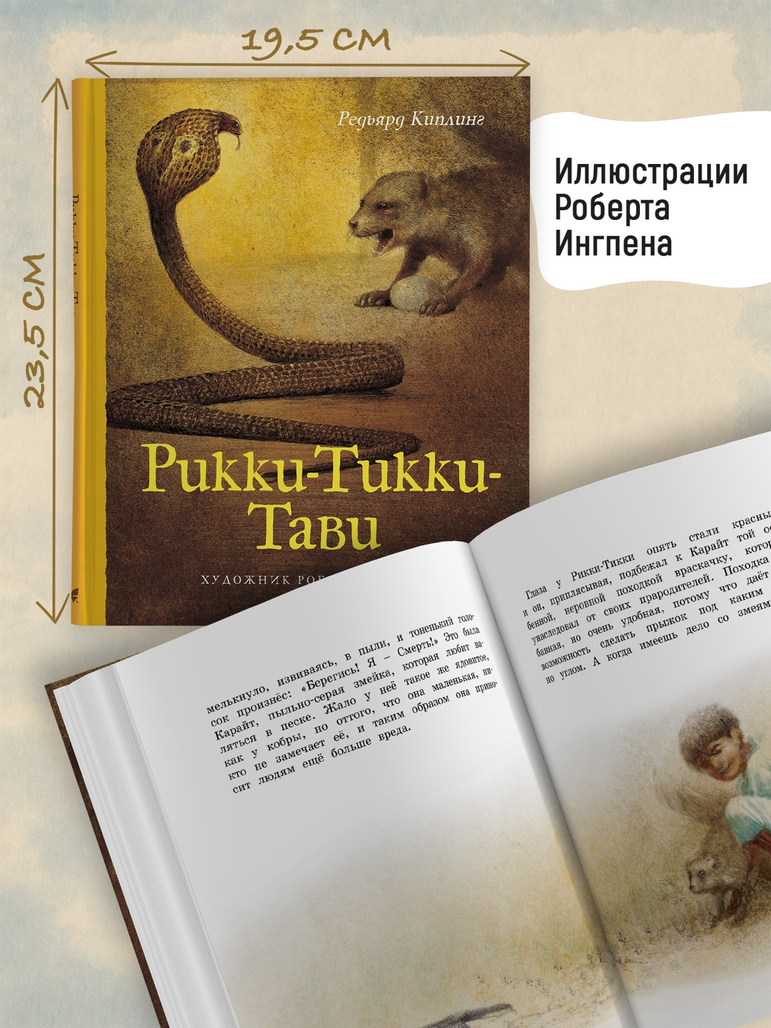 Промо материал к книге "Рикки-Тикки-Тави (илл. Роберт Ингпен и др.)" №3