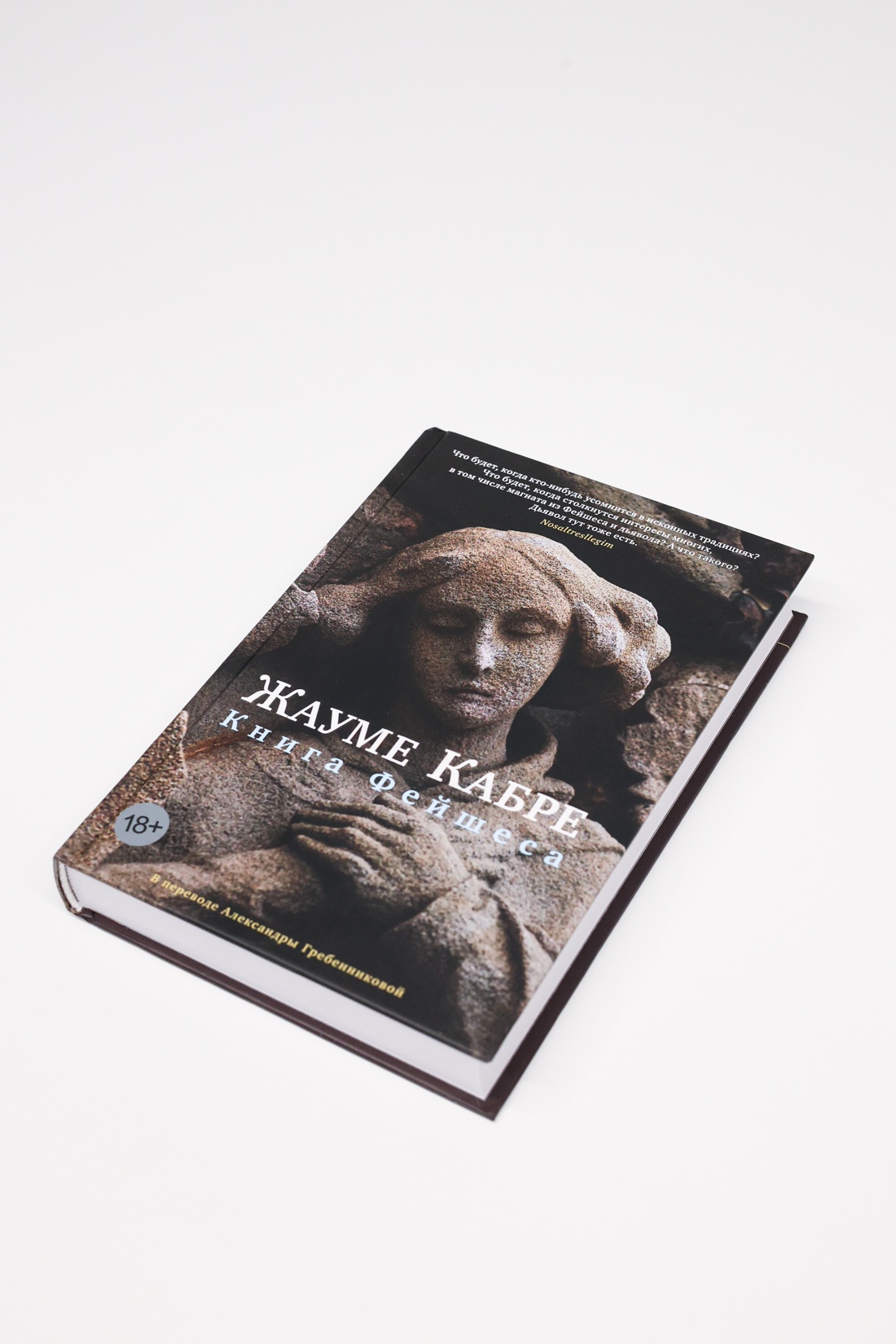Промо материал к книге "Книга Фейшеса" №6