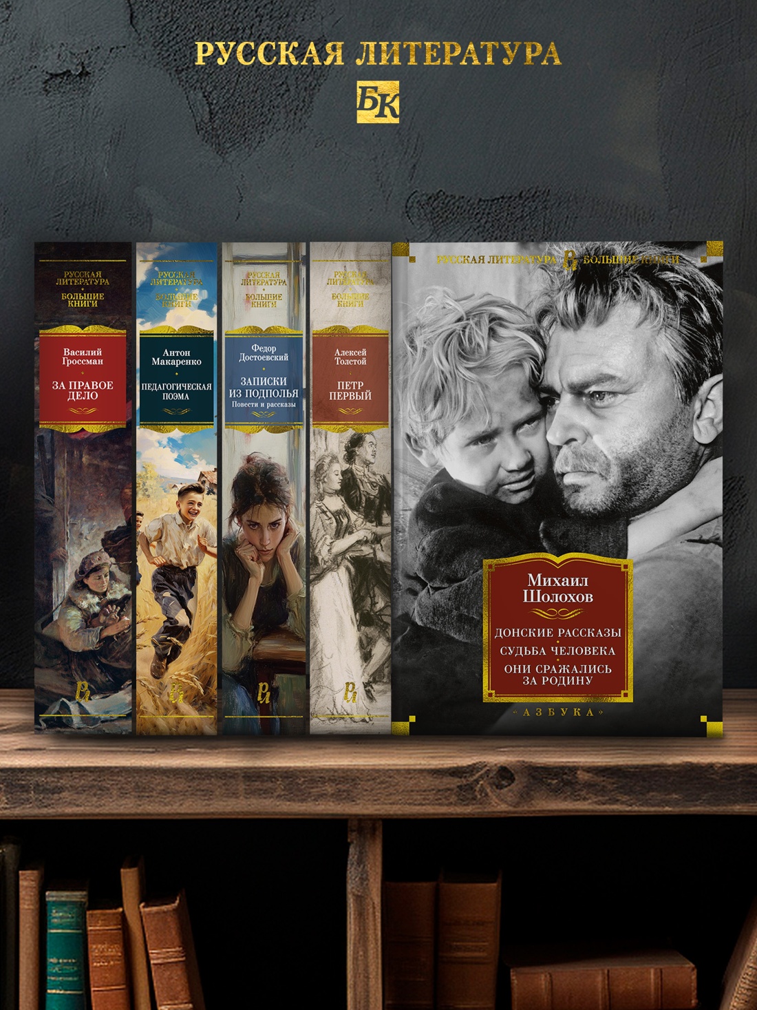 Промо материал к книге "Донские рассказы. Судьба человека. Они сражались за Родину" №2