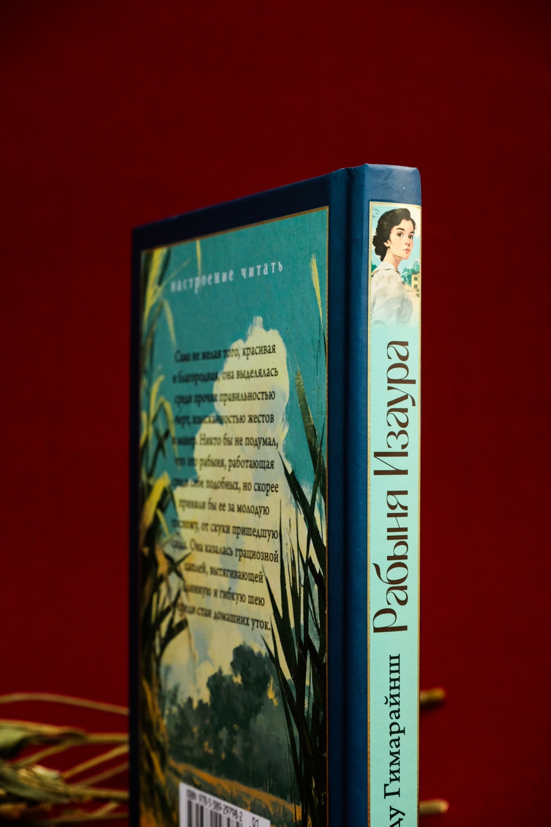 Промо материал к книге "Рабыня Изаура" №9
