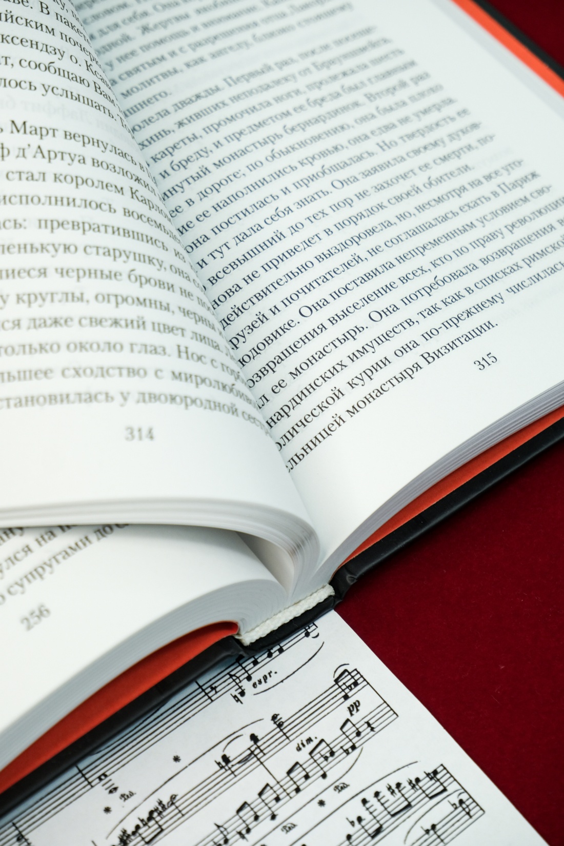 Промо материал к книге "Осуждение Паганини" №8