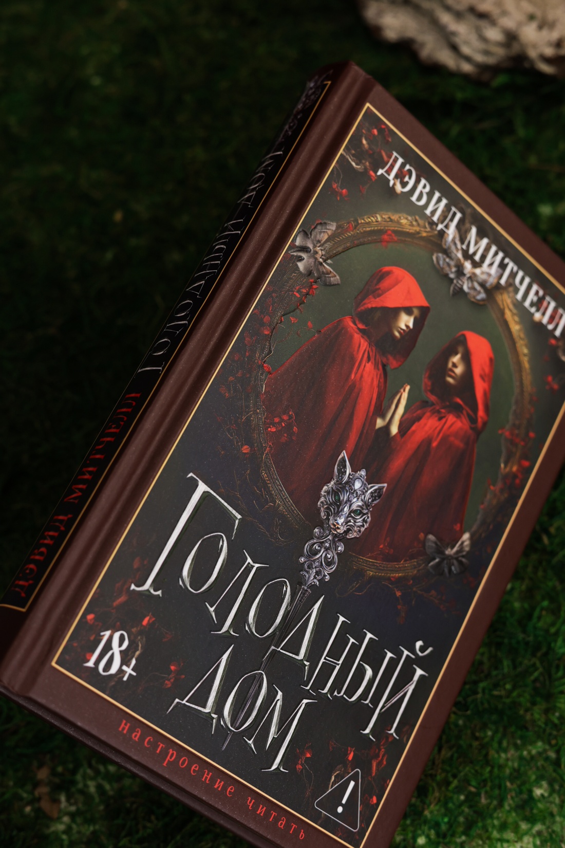 Промо материал к книге "Голодный дом (Настроение читать)" №11