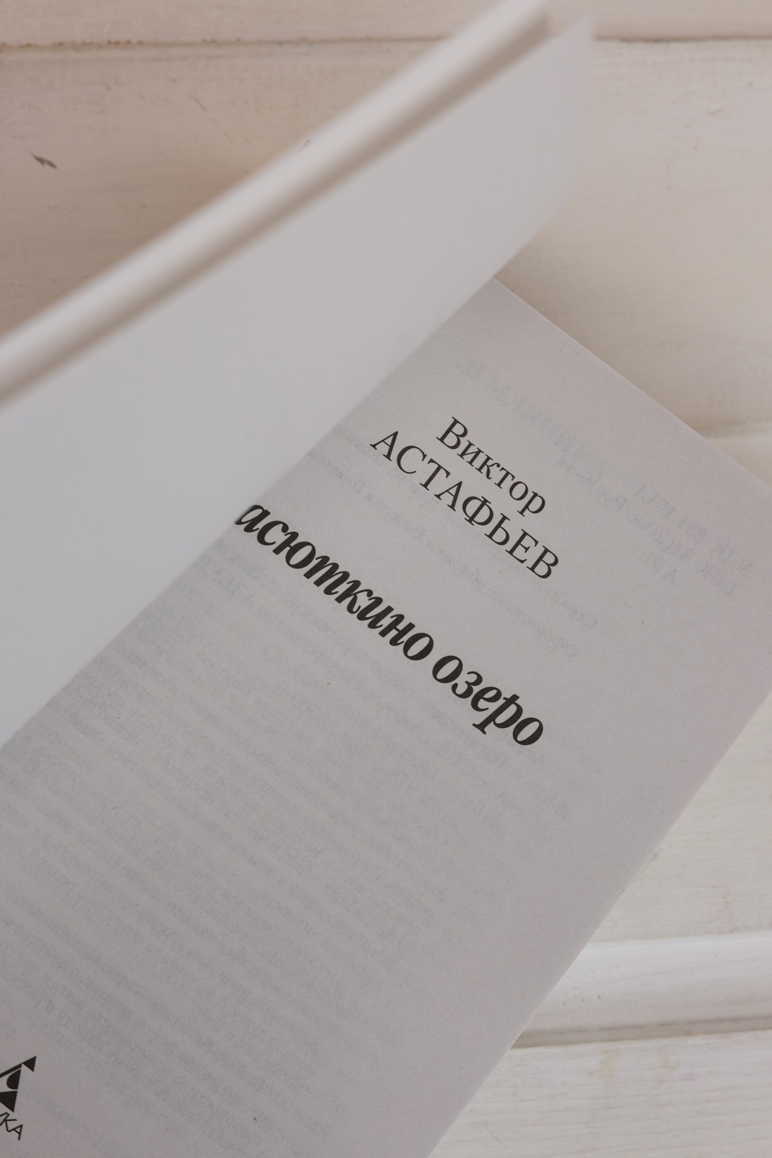 Промо материал к книге "Васюткино озеро" №6