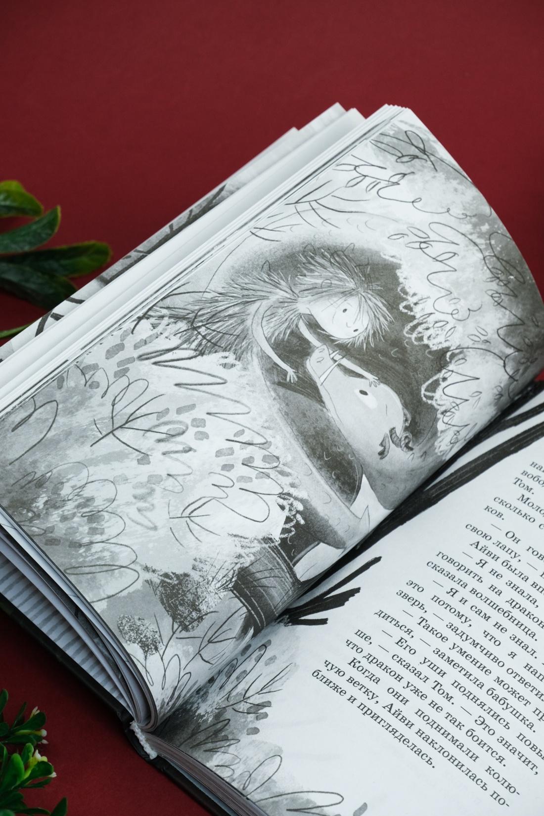 Промо материал к книге "Маленькая волшебница Айви Ньют. Клыкастые приключения. Книга 3" №3
