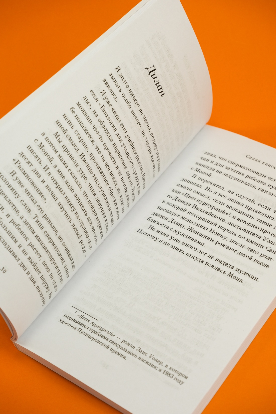 Промо материал к книге "Синяя книга Нэбо" №13