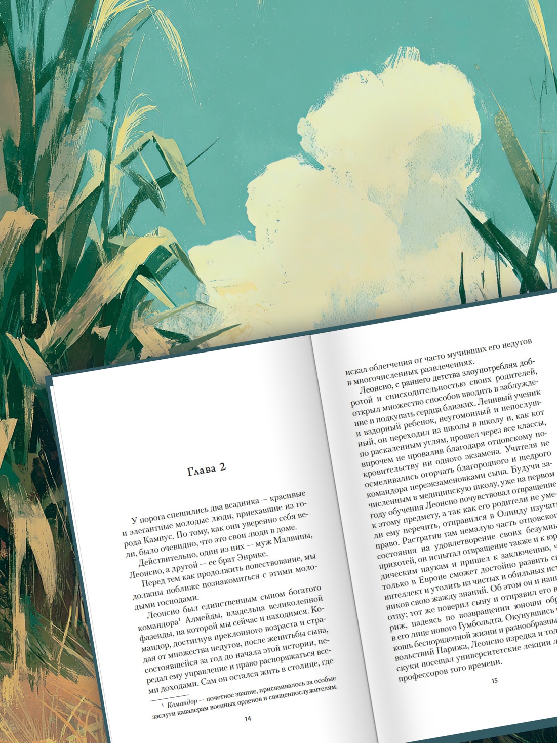 Промо материал к книге "Рабыня Изаура" №3