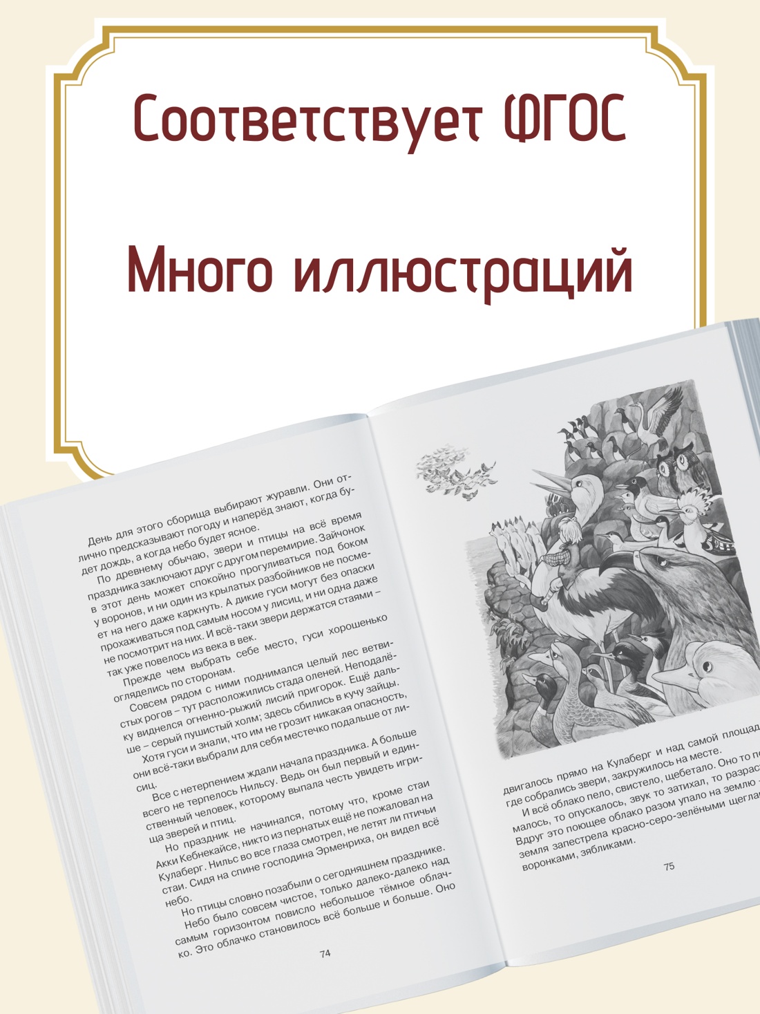 Промо материал к книге "Чудесное путешествие Нильса с дикими гусями" №1