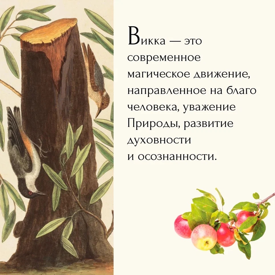 Промо материал к книге "Магия трав и волшебный бестиарий. Сборный комплект из 2-х книг с шоппером" №9