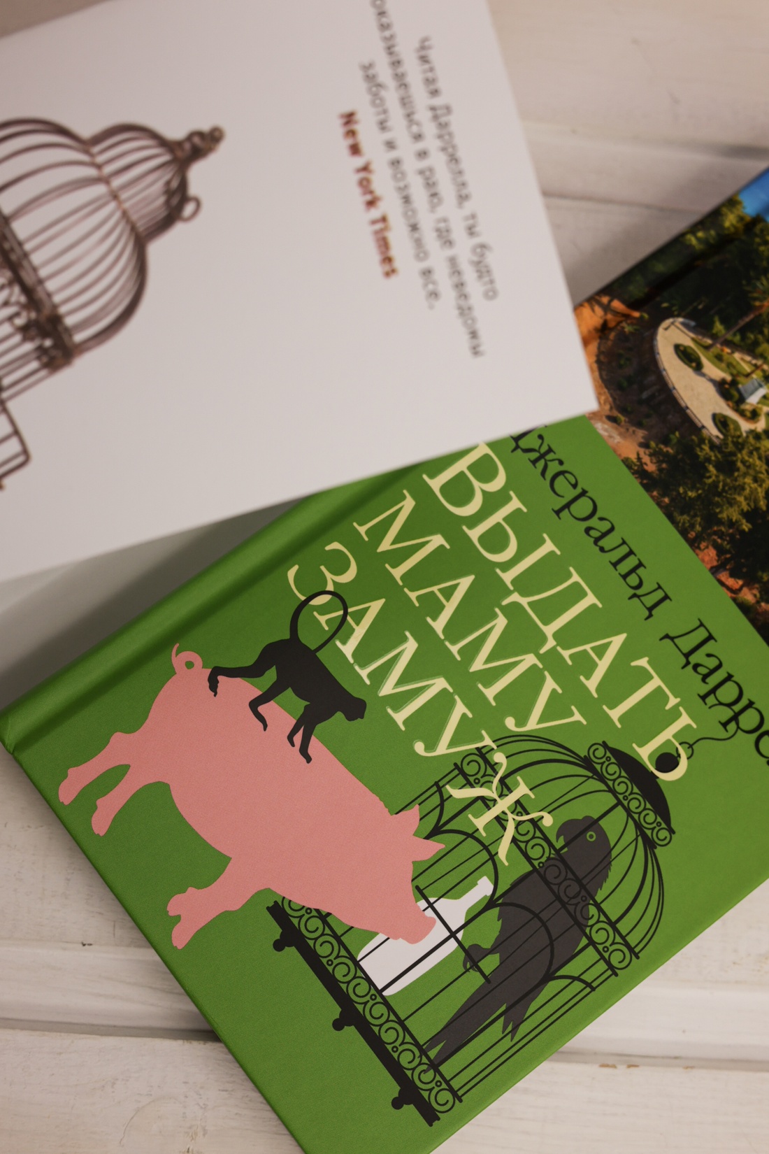 Промо материал к книге "Выдать маму замуж" №4