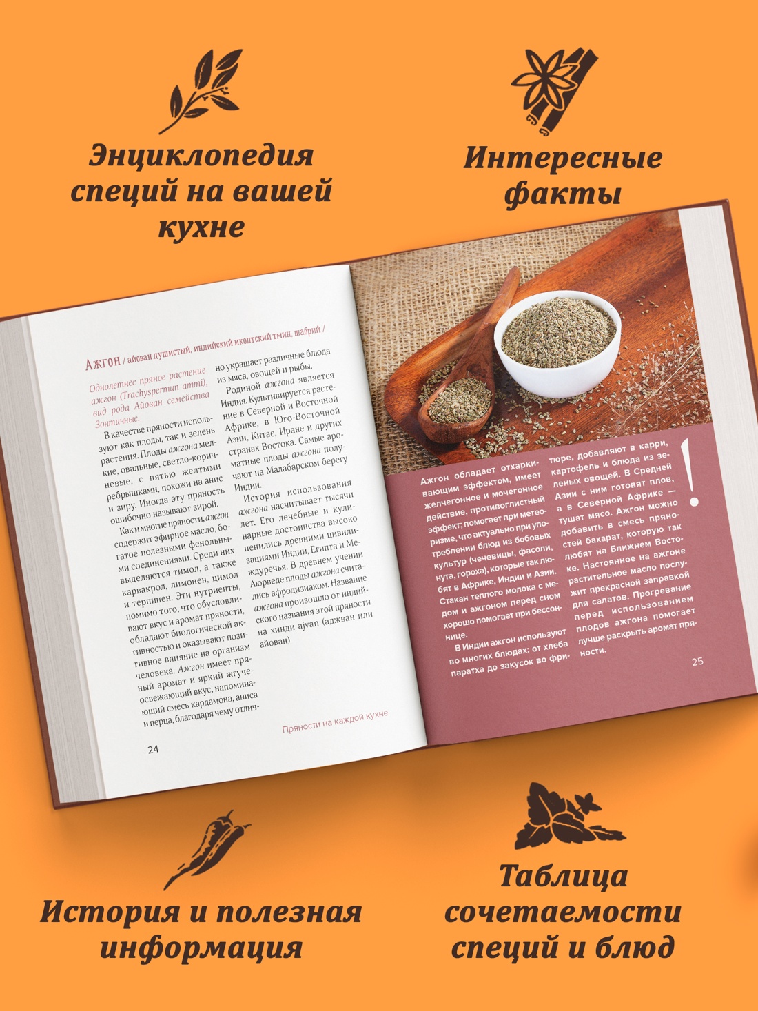 Промо материал к книге "Праздник как по нотам. Специи и пряности." №1