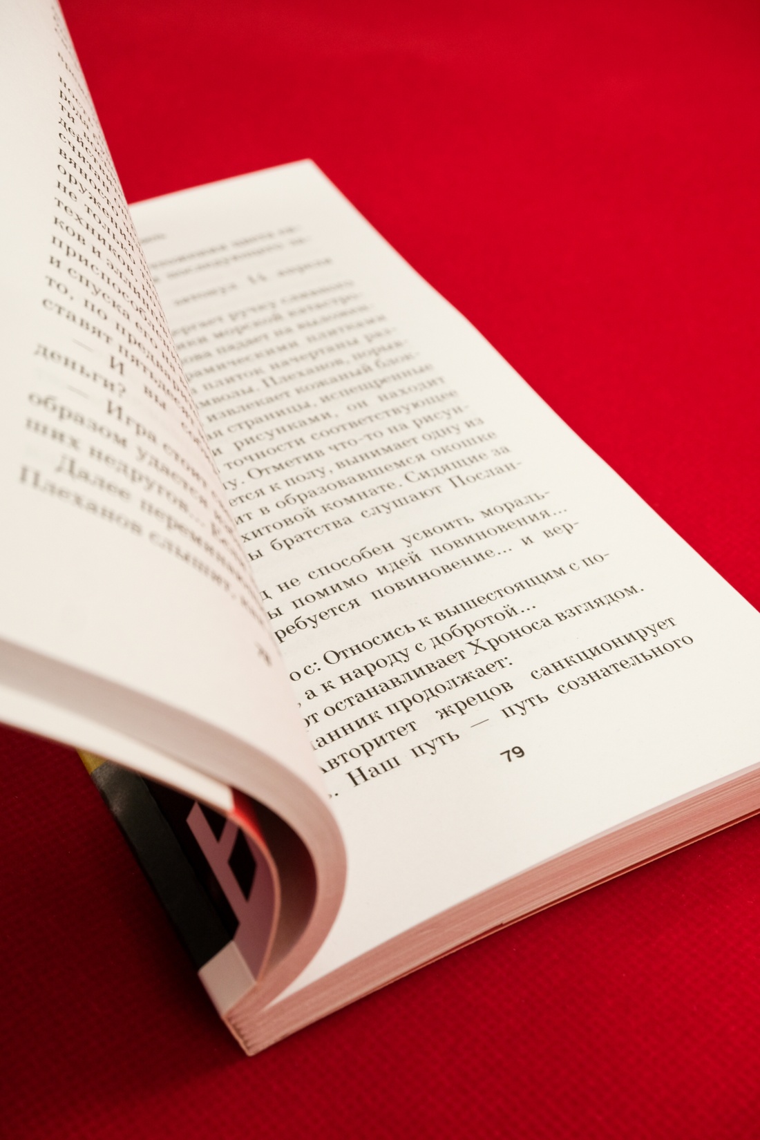 Промо материал к книге "Немой свидетель" №4