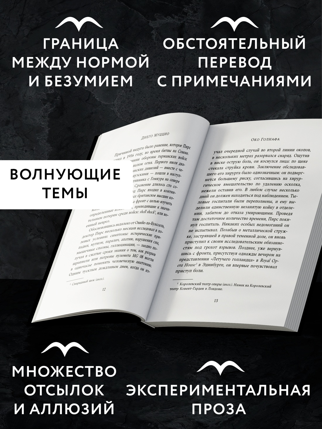 Промо материал к книге "Око Голиафа" №1