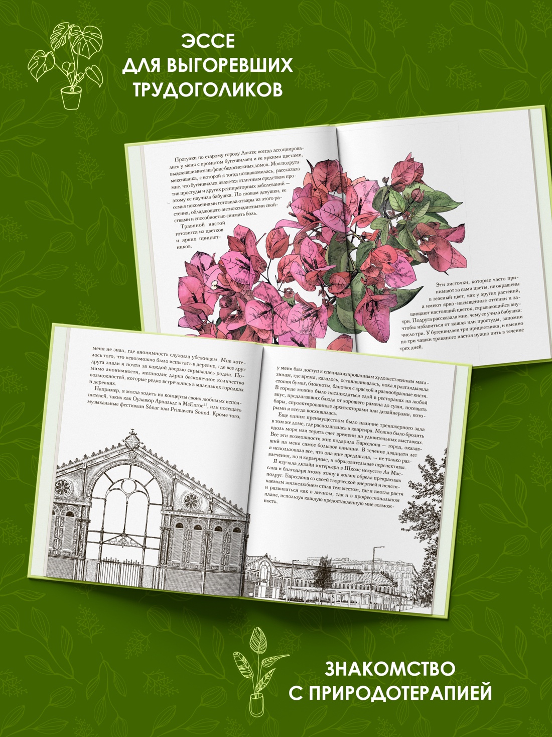 Промо материал к книге "Утешение природой" №1