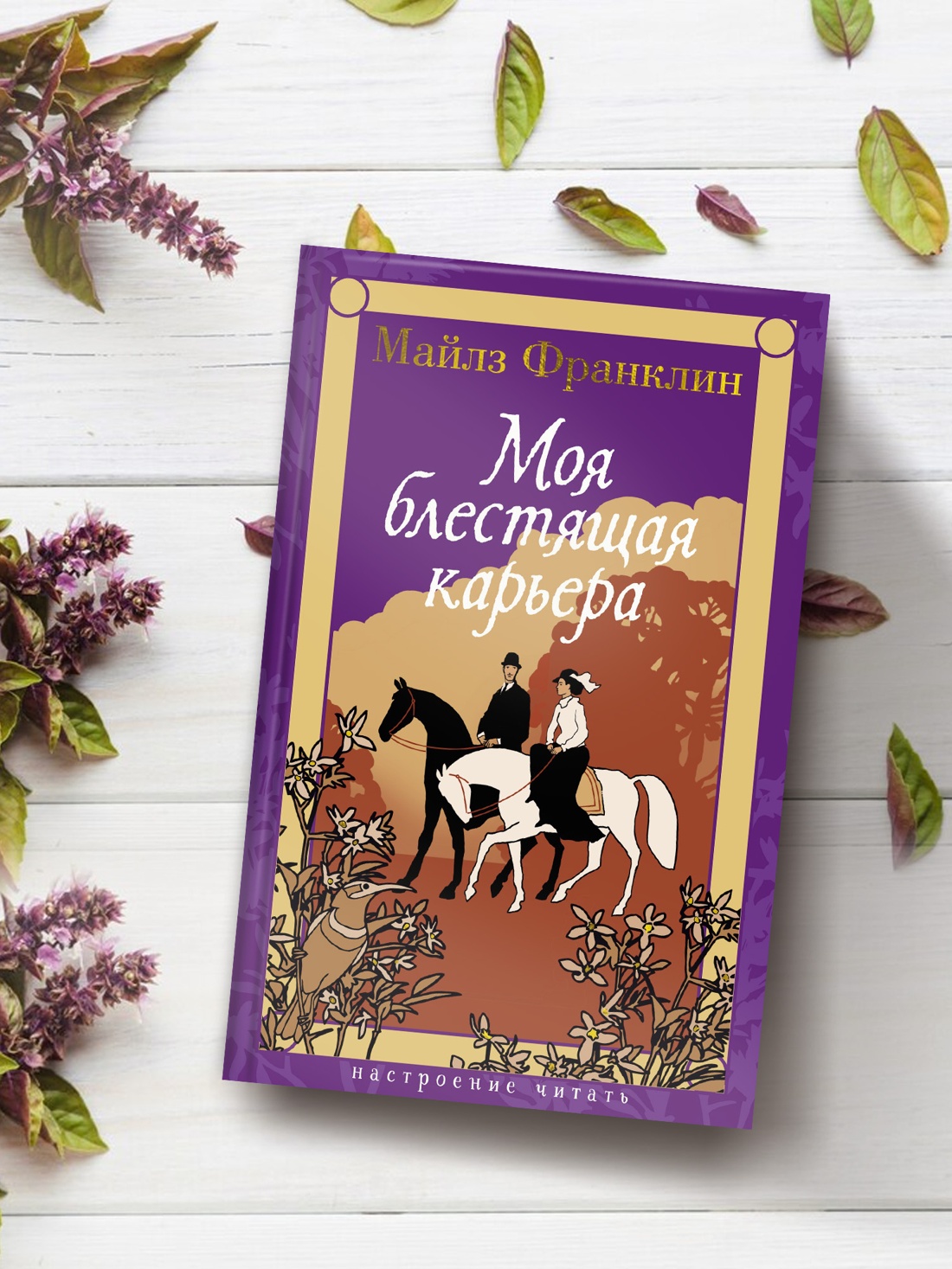 Промо материал к книге "Моя блестящая карьера" №2