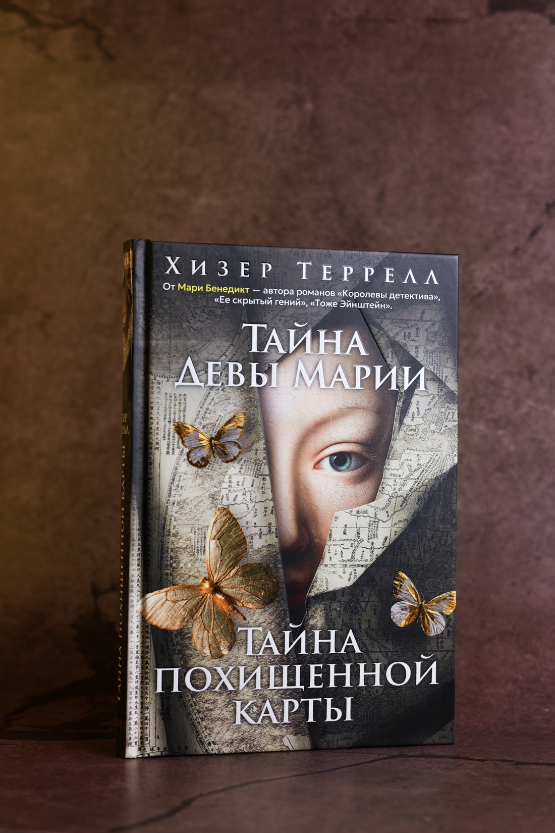 Промо материал к книге "Тайна Девы Марии.Тайна похищенной карты" №6