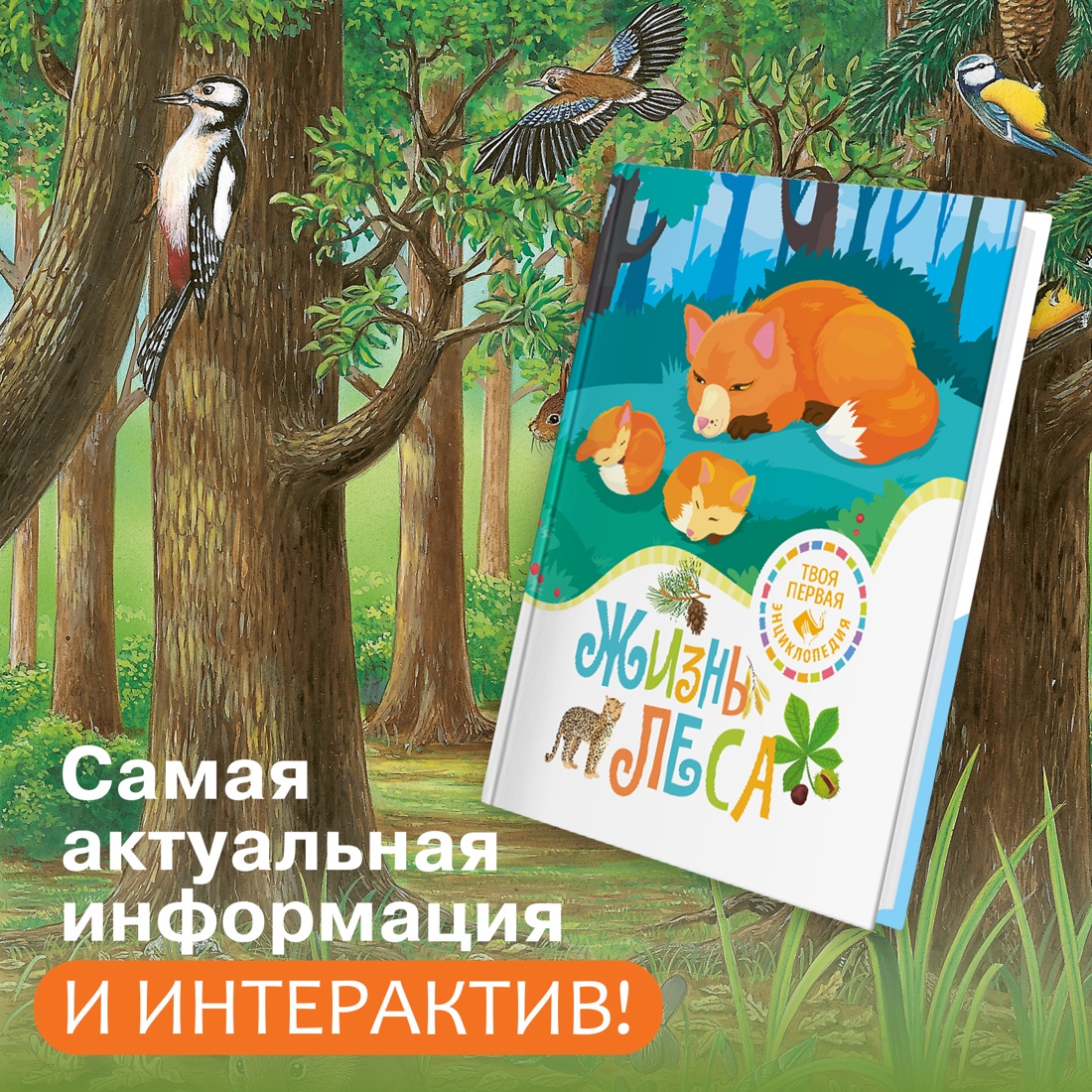 Промо материал к книге "Жизнь леса" №0