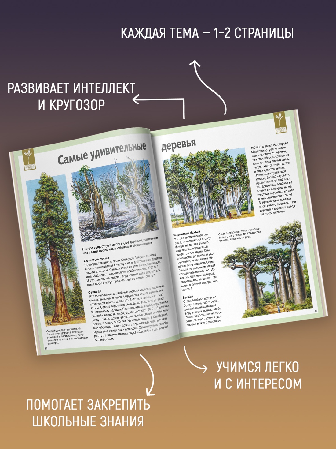 Промо материал к книге "Универсальная школьная энциклопедия (илл)" №1