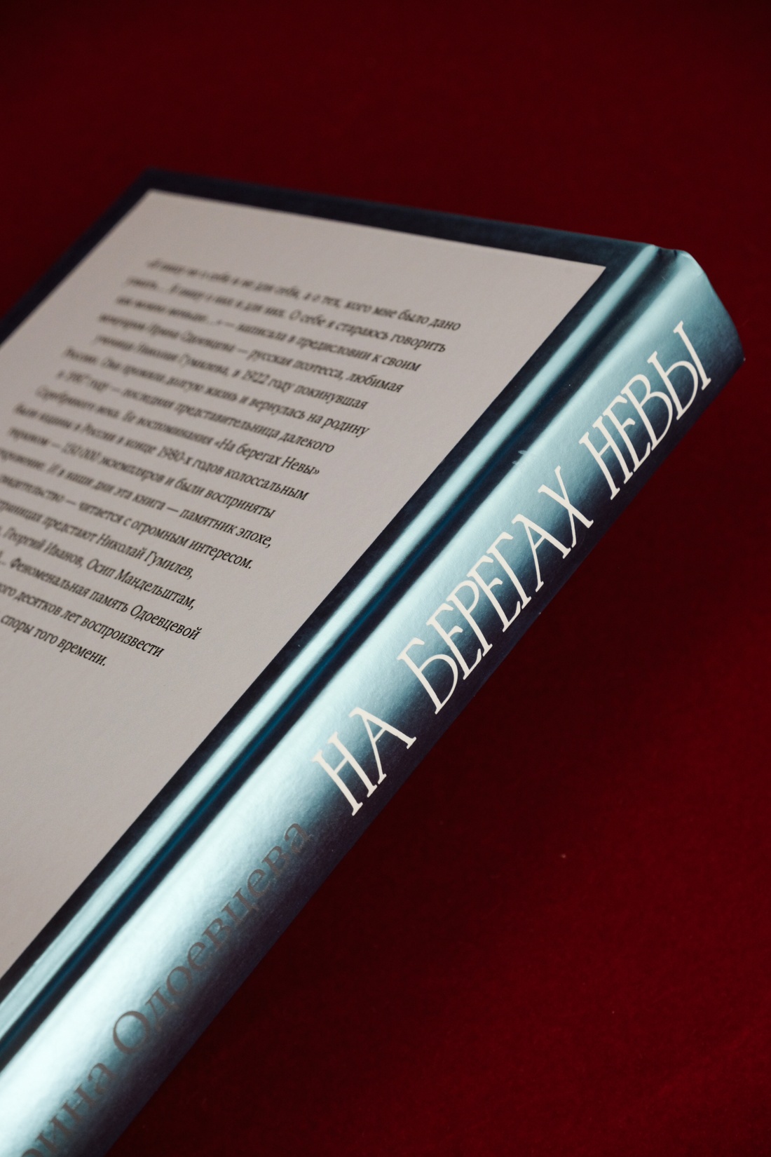 Промо материал к книге "На берегах Невы" №12