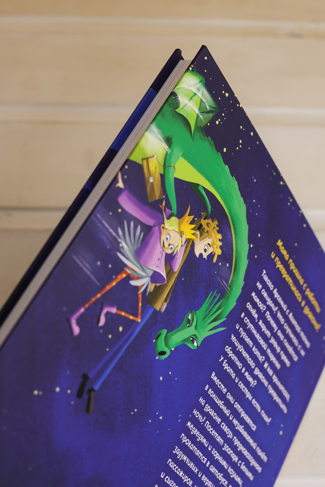 Промо материал к книге "Нашу маму раздраконили" №9