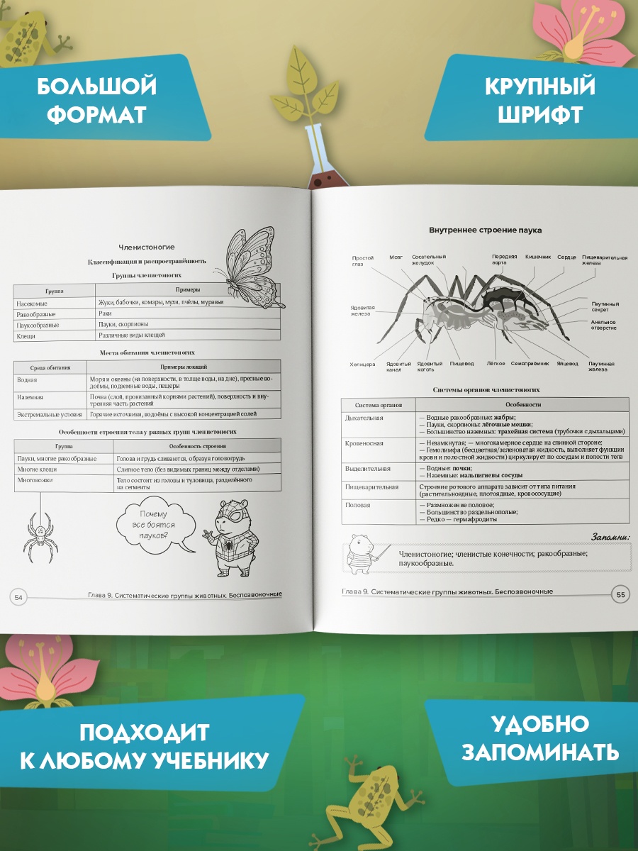 Промо материал к книге "Биология в таблицах и комиксах" №1