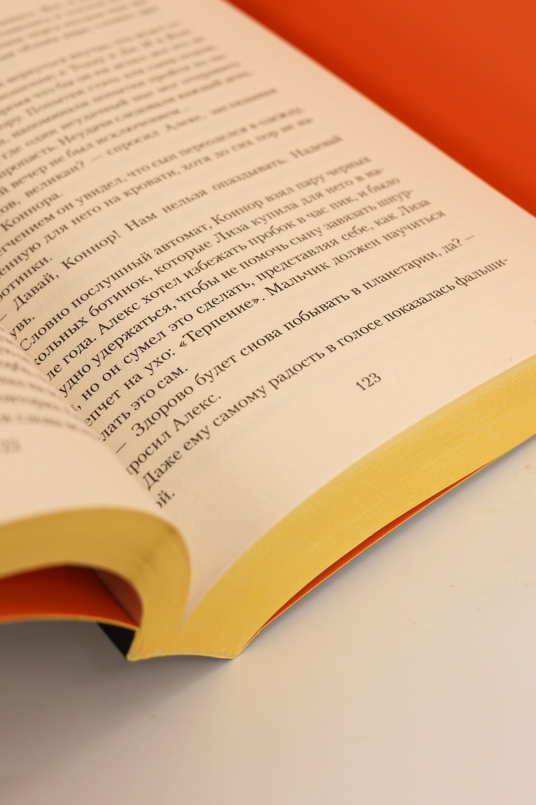 Промо материал к книге "Хрупкое счастье понедельника" №11